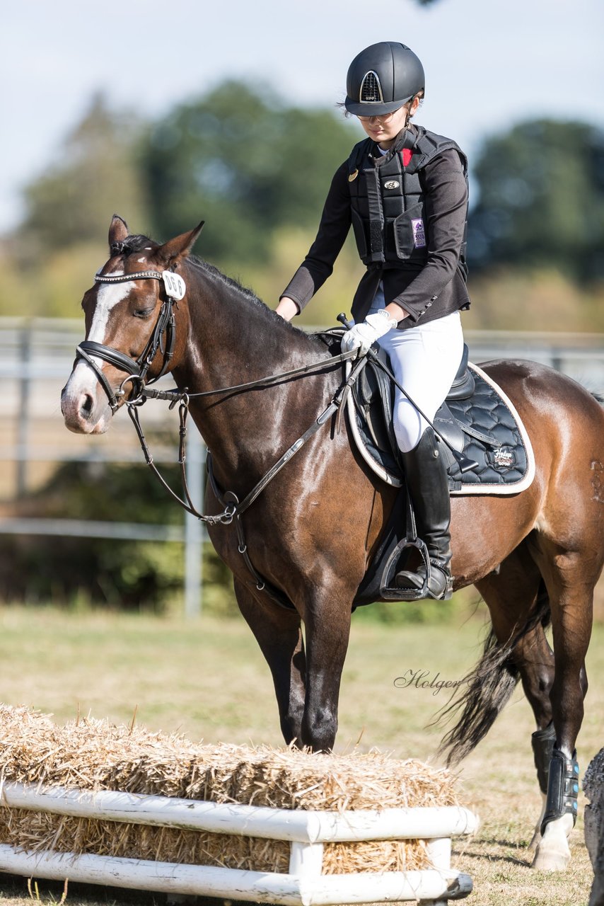 Bild 1 - Pony Akademie Turnier